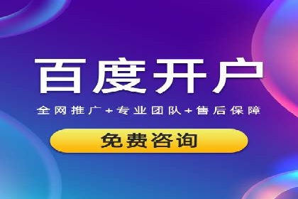 搜索引擎优化（SEO）与竞价广告（SEM）的对比案例